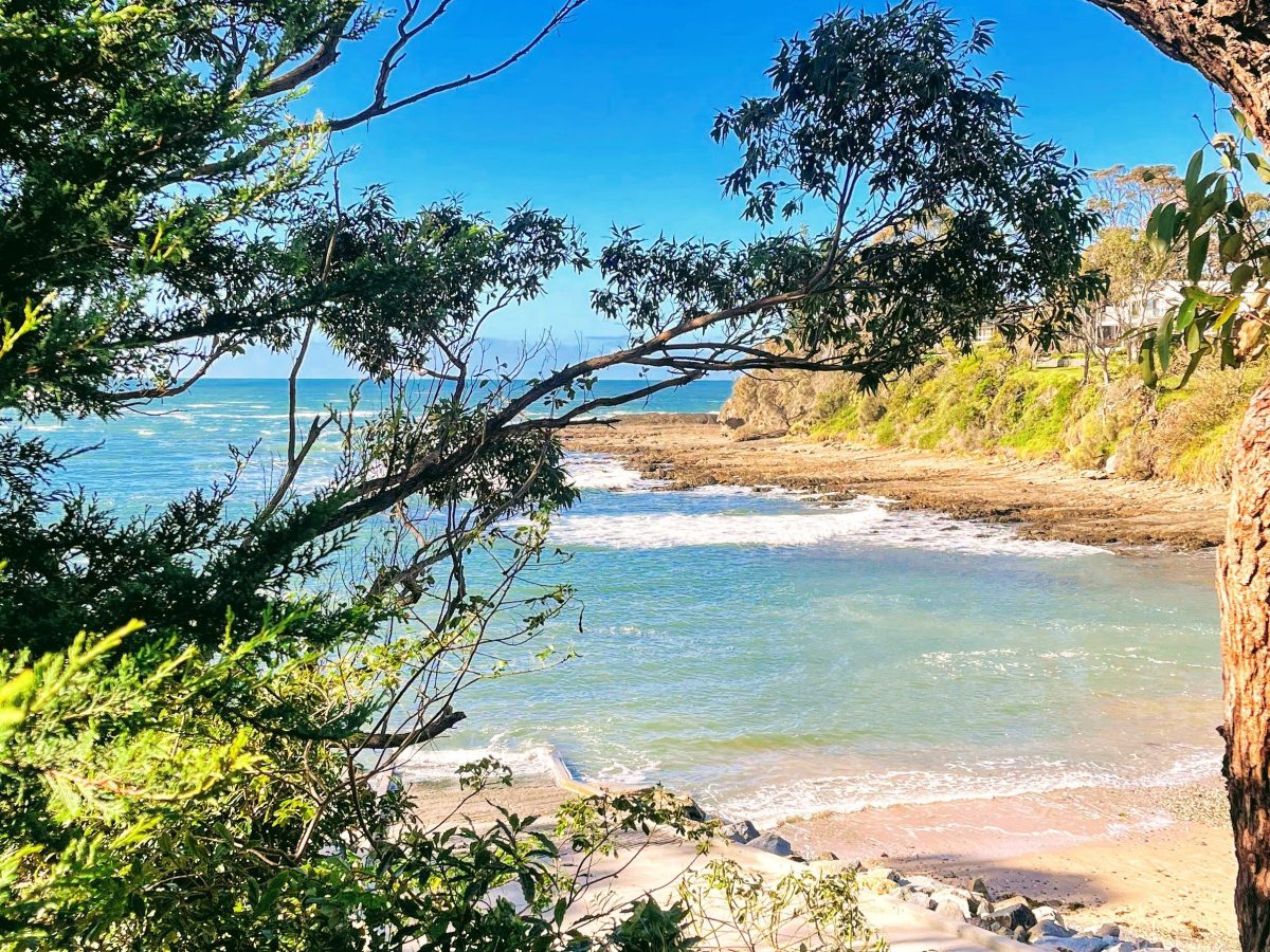 Introducing Bay Life&nbsp;Dispatch